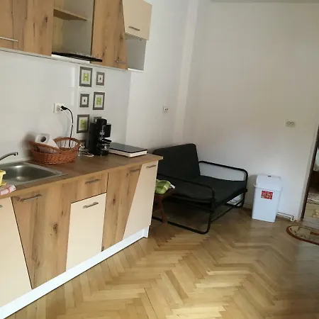 Traveler Studio Гостьовий будинок Брашов